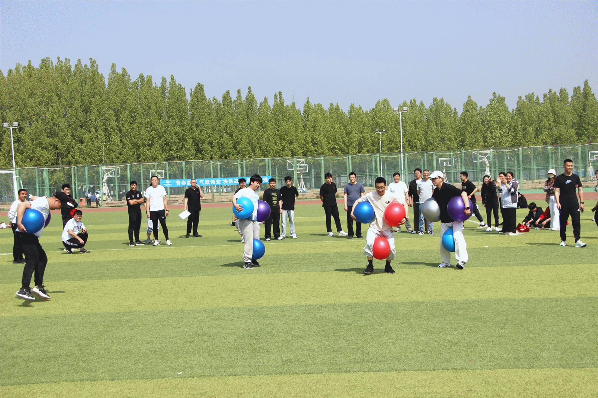 1777259151397282.gif 企鹅集合.gif